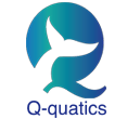 Q-quatics