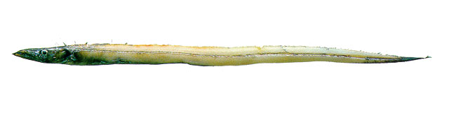 Beten_u0.jpg