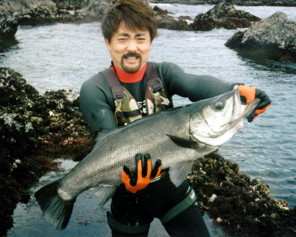 Lateolabrax latus
