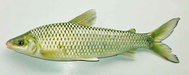 Lecon_u4.jpg