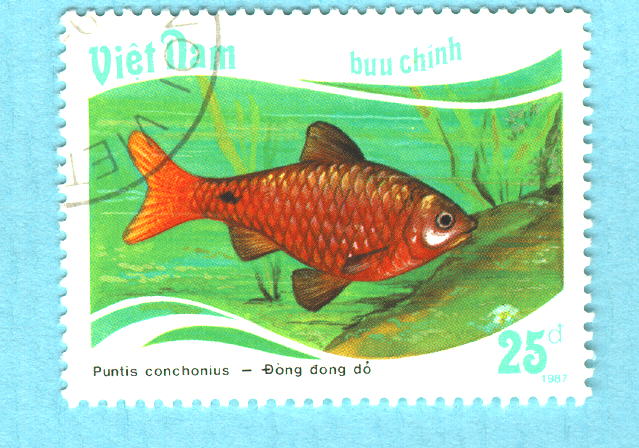 Pucon_u0.jpg