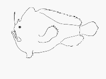 tn_Algla_u0.gif