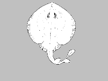 Platyrhinidae