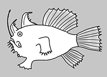 Tathicarpidae