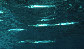 Hyaus_u0.jpg