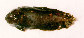 Lifab_m0.jpg