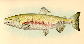 Onket_f0.jpg