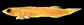 Prlon_u2.jpg