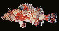 Scspp2u0.jpg