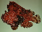 Tatri_u7.jpg