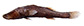 Tymar_u0.jpg